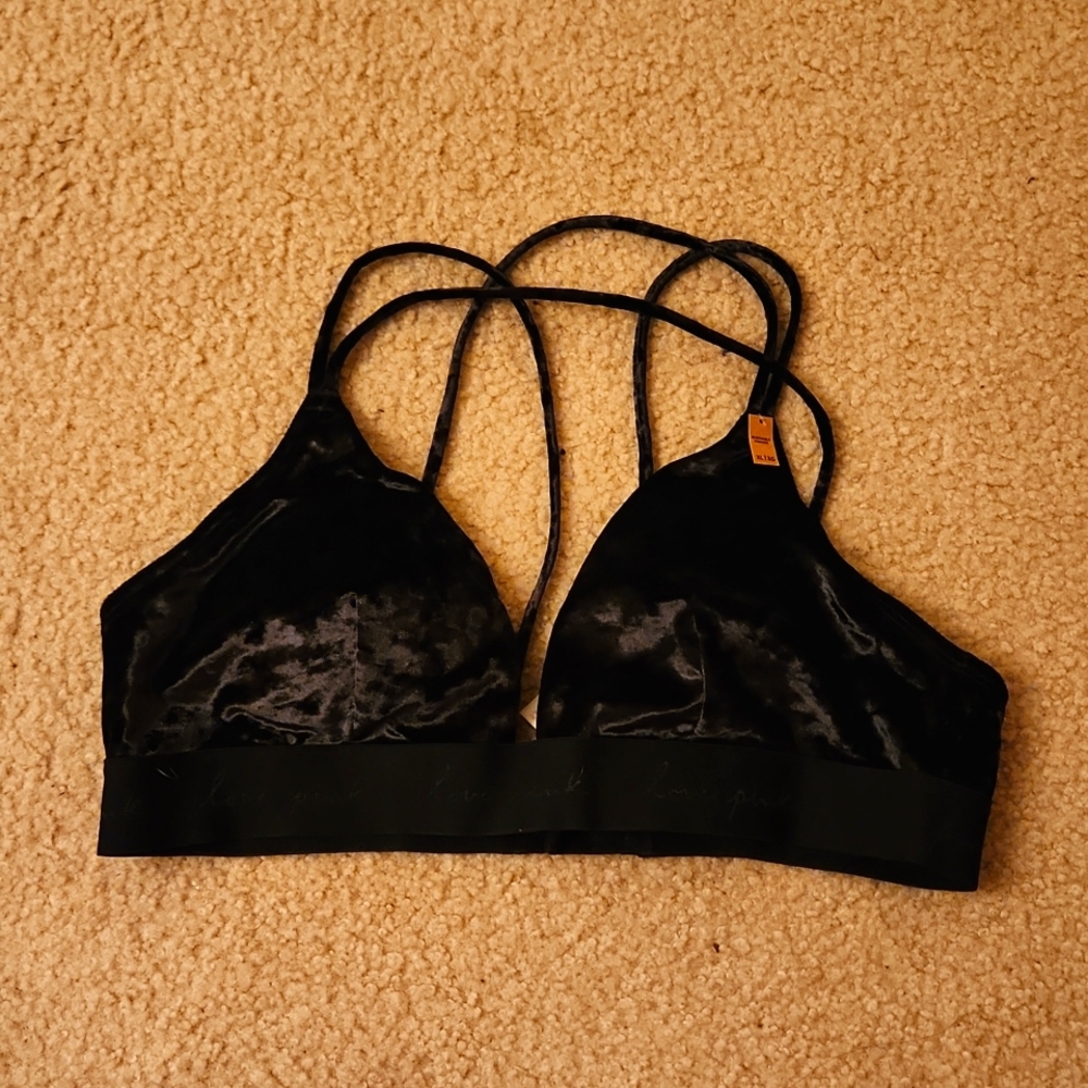 BRAND NEW, NEVER WORK. Velvet Sports Bra